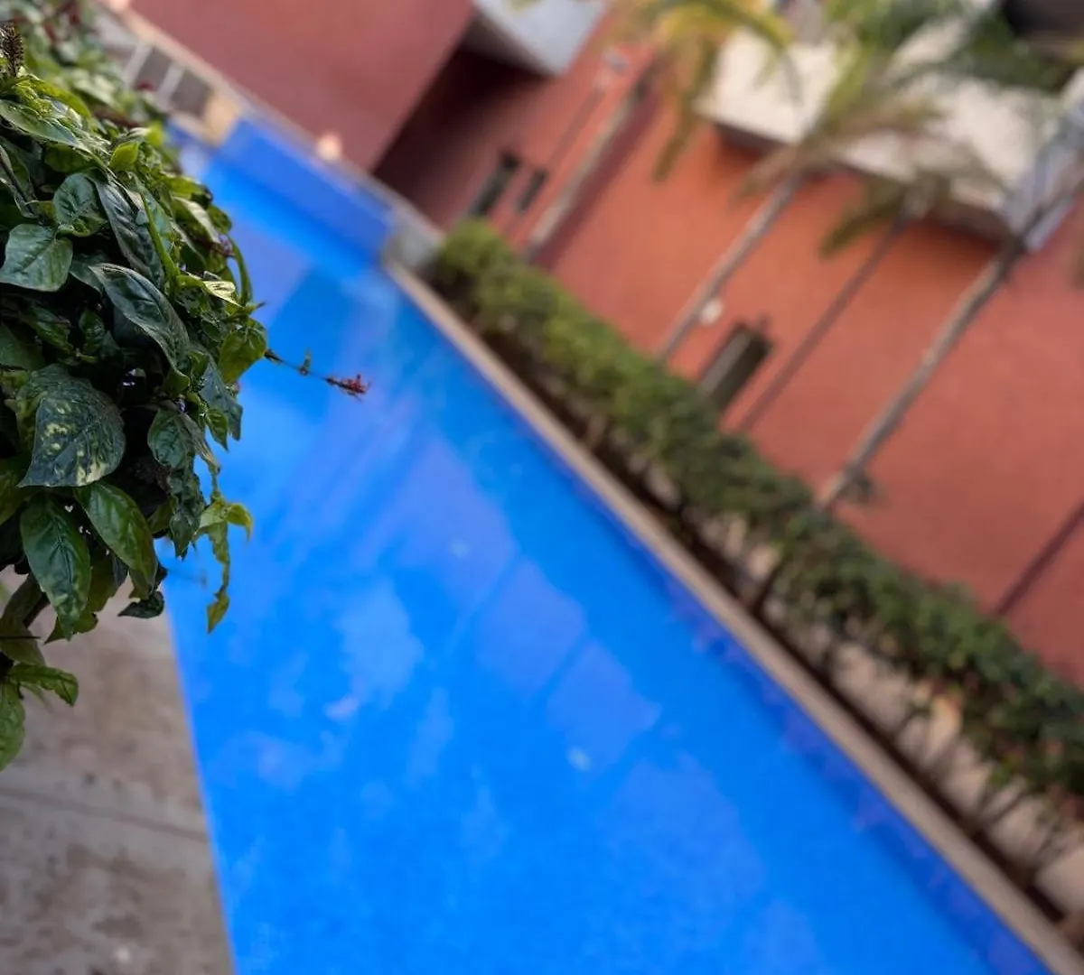 Apartament The Cristal House Marrakesz